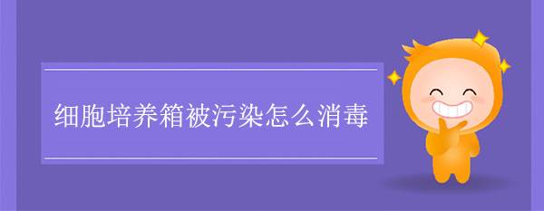 細胞培養箱被汙染怎麽消毒